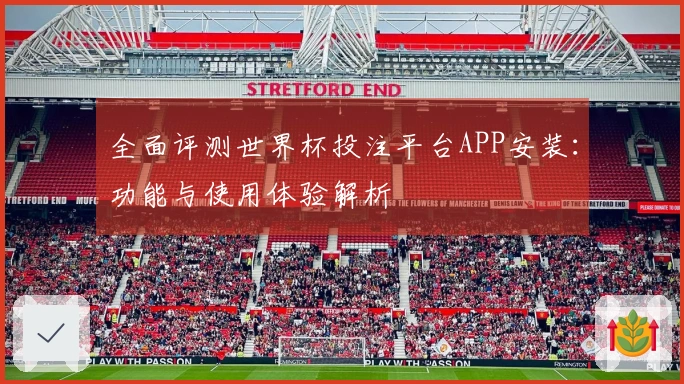 全面评测世界杯投注平台APP安装：功能与使用体验解析