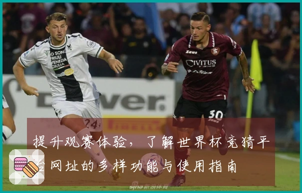 提升观赛体验，了解世界杯竞猜平台网址的多样功能与使用指南