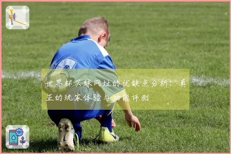 世界杯买球网址的优缺点分析：真正的玩家体验与功能评测