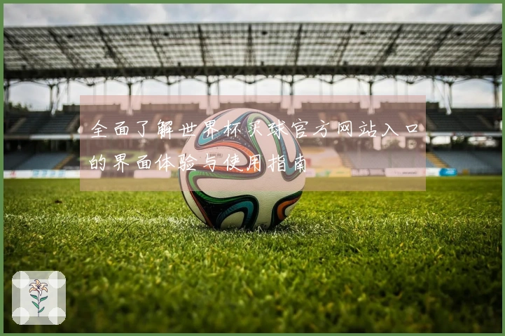 全面了解世界杯买球官方网站入口的界面体验与使用指南