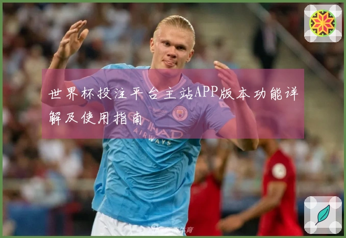 世界杯投注平台主站APP版本功能详解及使用指南