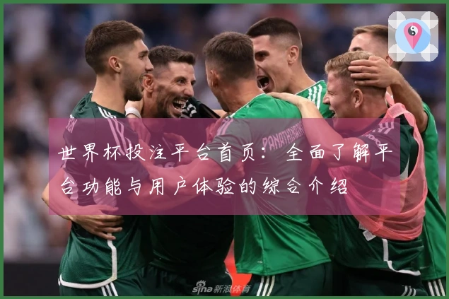 世界杯投注平台首页：全面了解平台功能与用户体验的综合介绍