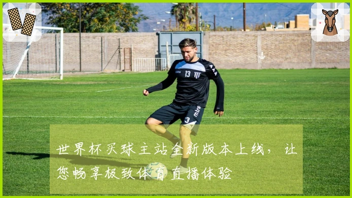 世界杯买球主站全新版本上线，让您畅享极致体育直播体验