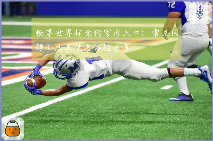 畅享世界杯竞猜官方入口：常见问题汇总及使用体验分享