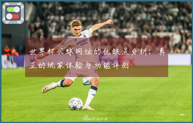 世界杯买球网址的优缺点分析：真正的玩家体验与功能评测