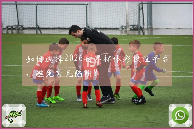 如何选择2026世界杯体彩投注平台，避免常见陷阱？