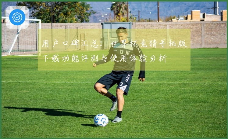用户口碑汇总：世界杯竞猜手机版下载功能评测与使用体验分析