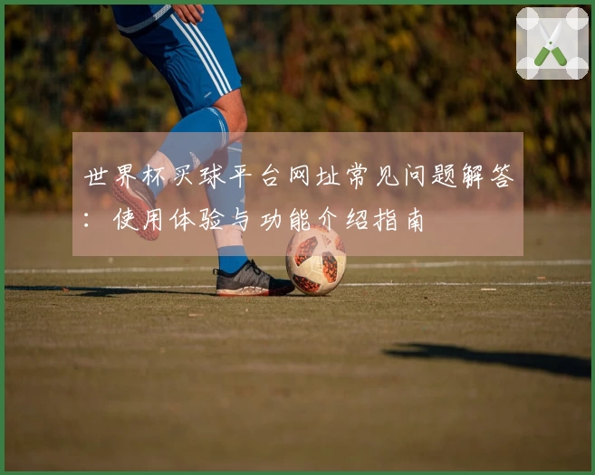 世界杯买球平台网址常见问题解答：使用体验与功能介绍指南