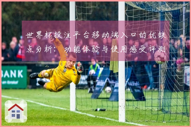 世界杯投注平台移动端入口的优缺点分析：功能体验与使用感受评测