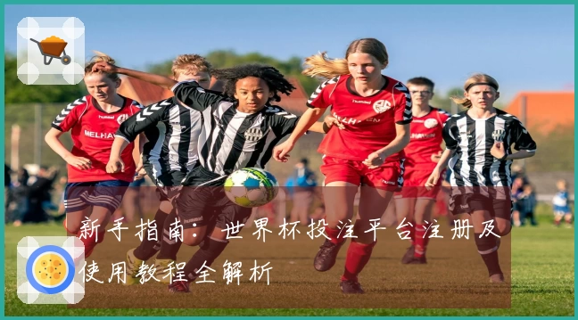 新手指南：世界杯投注平台注册及使用教程全解析