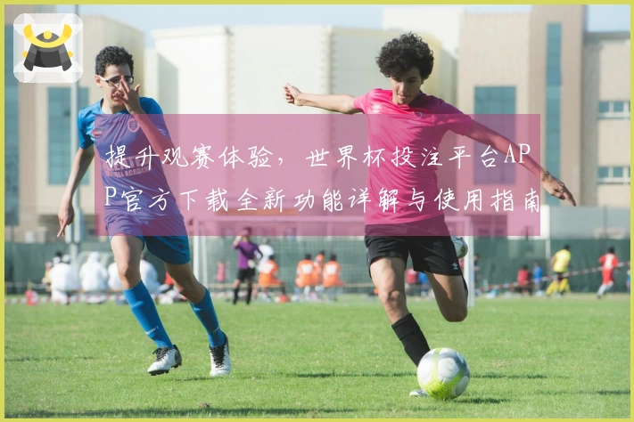 提升观赛体验，世界杯投注平台APP官方下载全新功能详解与使用指南