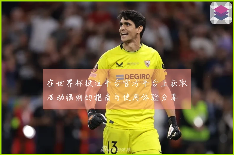在世界杯投注平台官方平台上获取活动福利的指南与使用体验分享