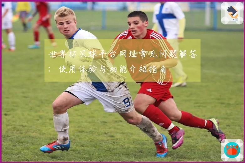 世界杯买球平台网址常见问题解答：使用体验与功能介绍指南
